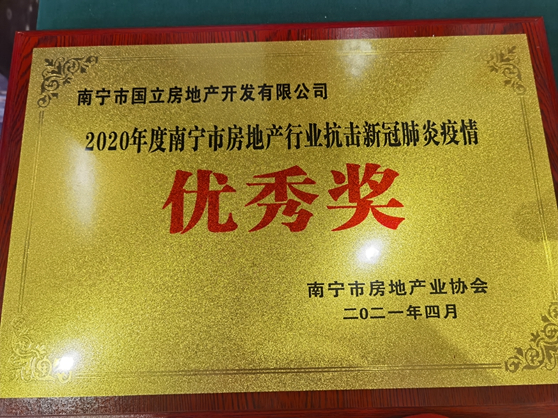 國立公司榮獲“南寧市房地產(chǎn)行業(yè)抗擊新冠肺炎疫情優(yōu)秀獎”.jpg