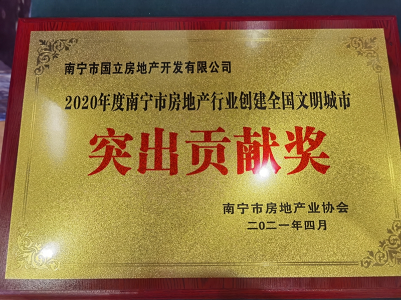 國立公司榮獲“南寧市房地產(chǎn)行業(yè)創(chuàng)建全國文明城市突出貢獻獎”.jpg